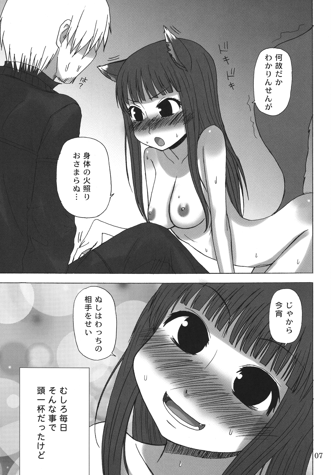 (COMIC1☆2) [サナダジルシ (サナダ)] 晴れたら満月とちゃいますのん? (狼と香辛料)