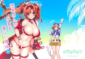 (サンクリ2015 Autumn) [自宅異常あり! (にぃと)] 団長さんが水着を着ない理由 (グランブルーファンタジー) [中国翻訳]