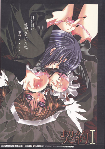 (C67) [RIRIADOLL (武若丸)] 契約 I (機動戦士ガンダムSEED DESTINY)