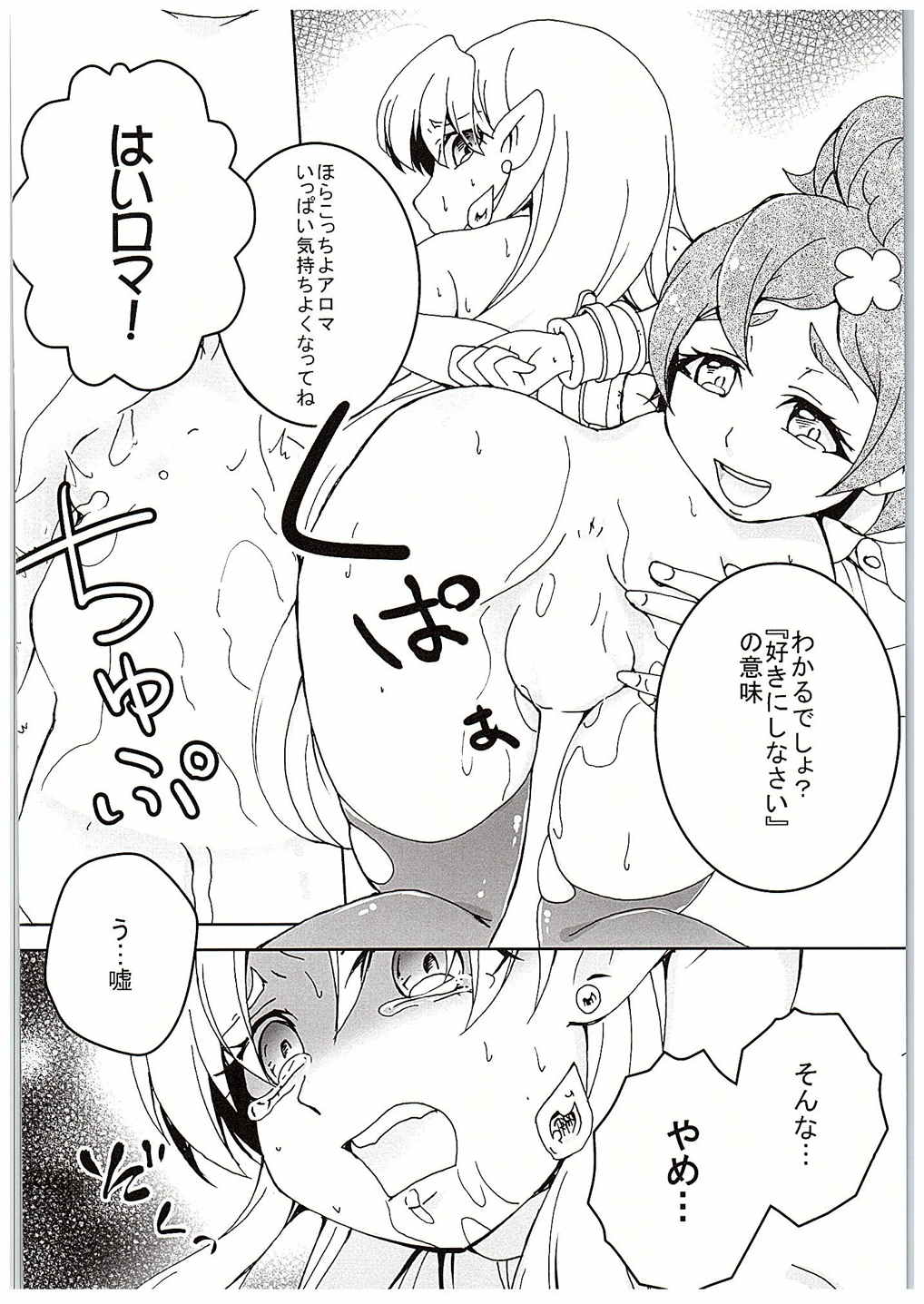 (C88) [あいの倉 (たかはぎけもの)] プリキュアに滅ぼされた王国の姫 (Go!プリンセスプリキュア)
