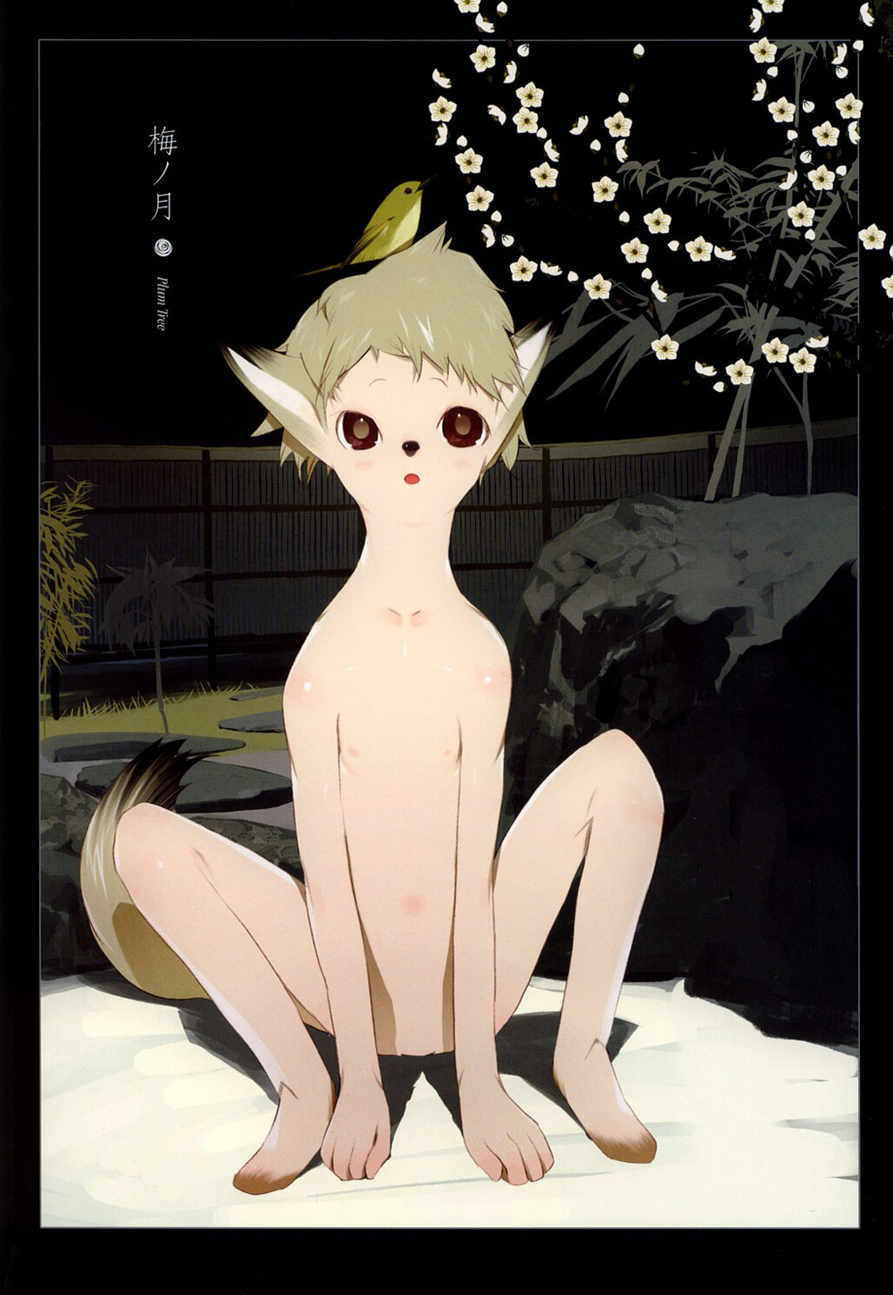 【岡間】花札【英語】 【岡間】花札【英語】