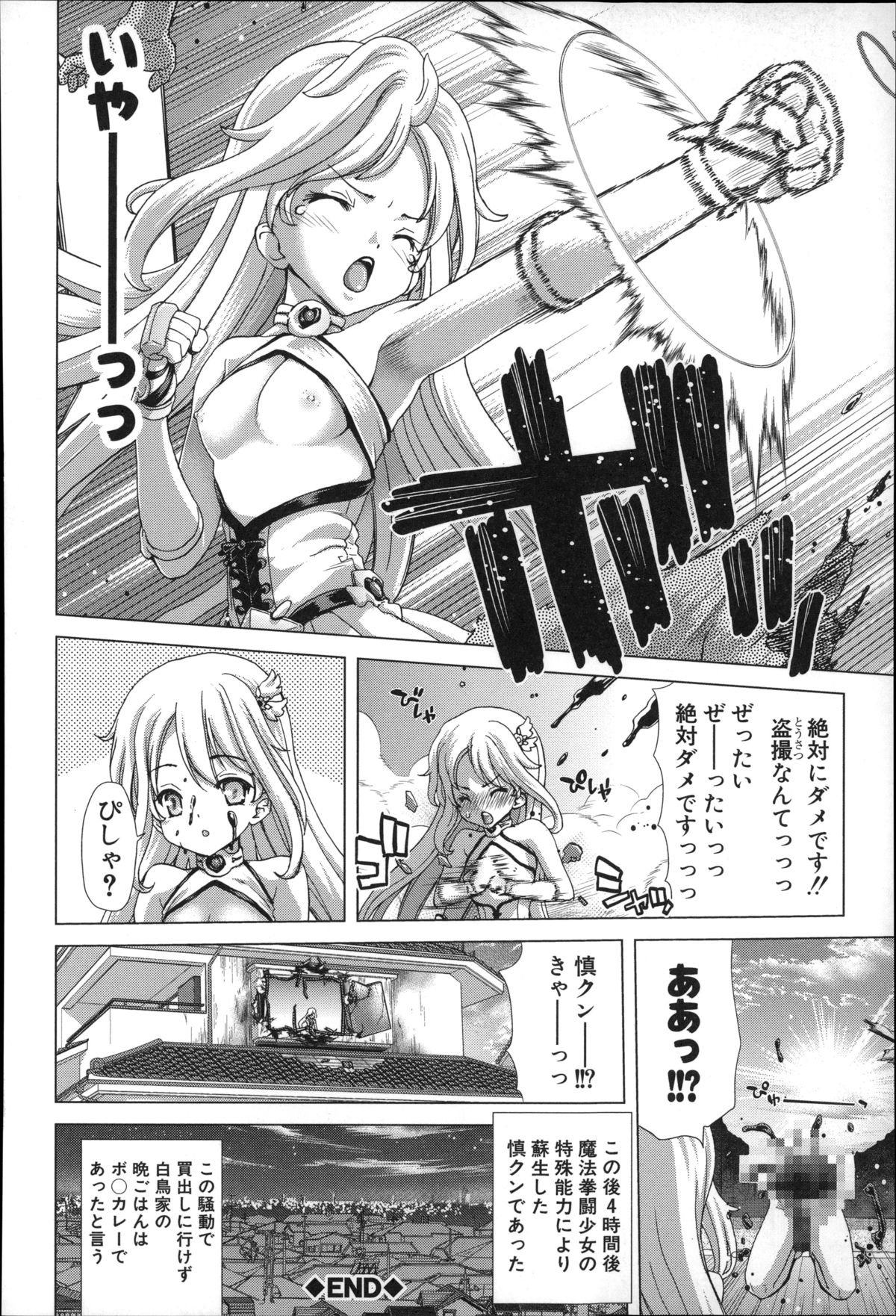 [堀博昭] メスオチZ ～強制妊活配合図鑑～ + 8P小冊子