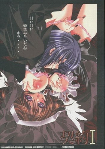 （C67）【RIRIADOLL（武若丸）】契約I（機動戦士ガンダムSEEDDESTINY）サンプル