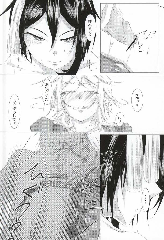 (閃華の刻斬) [家具屋姫 (囲炉裏ヒバチ)] 渡り鳥の捕え方 (刀剣乱舞)