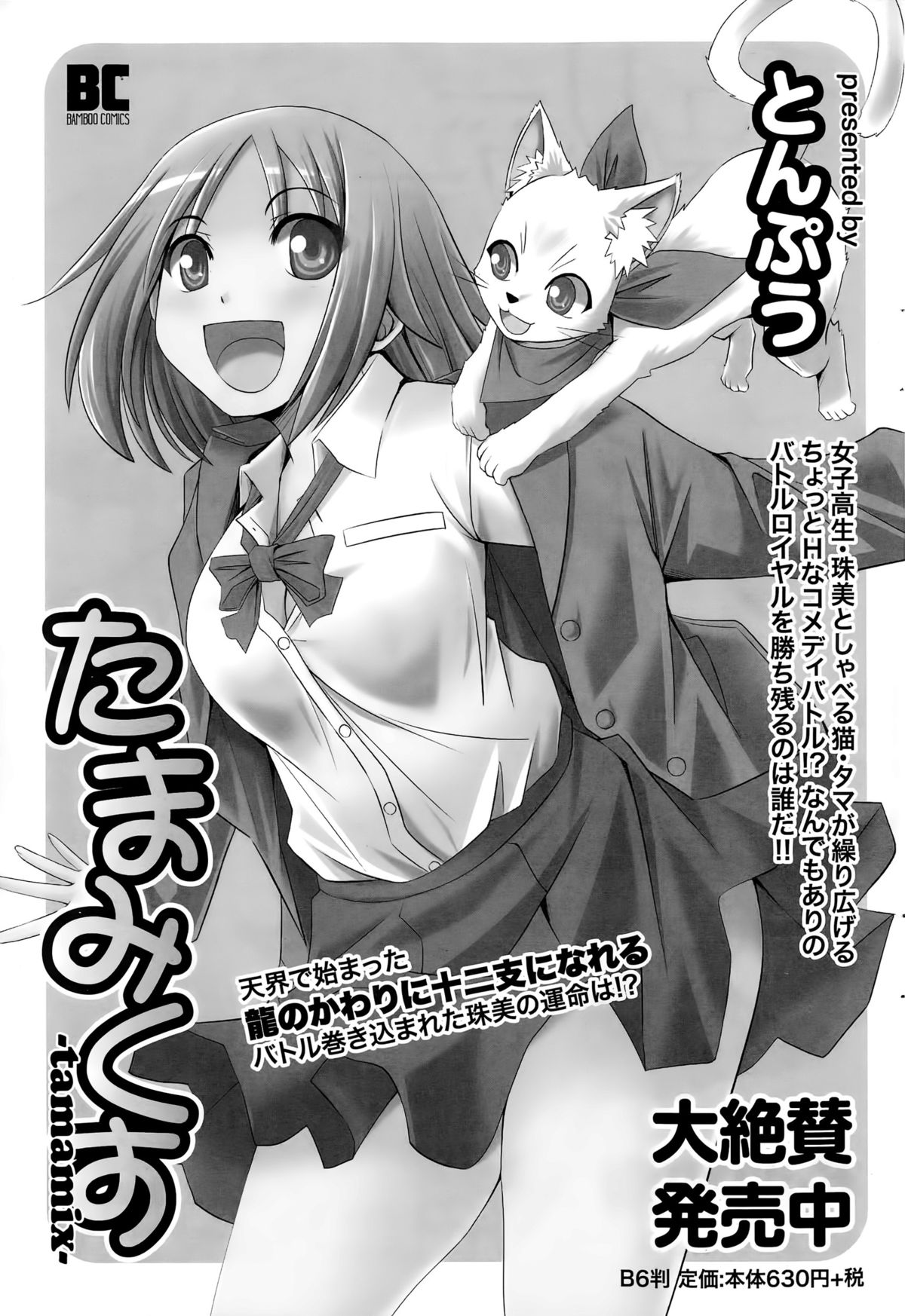 月刊 ビタマン 2015年8月号