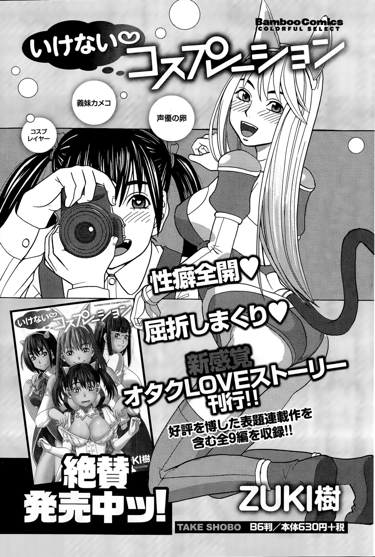 月刊 ビタマン 2015年8月号