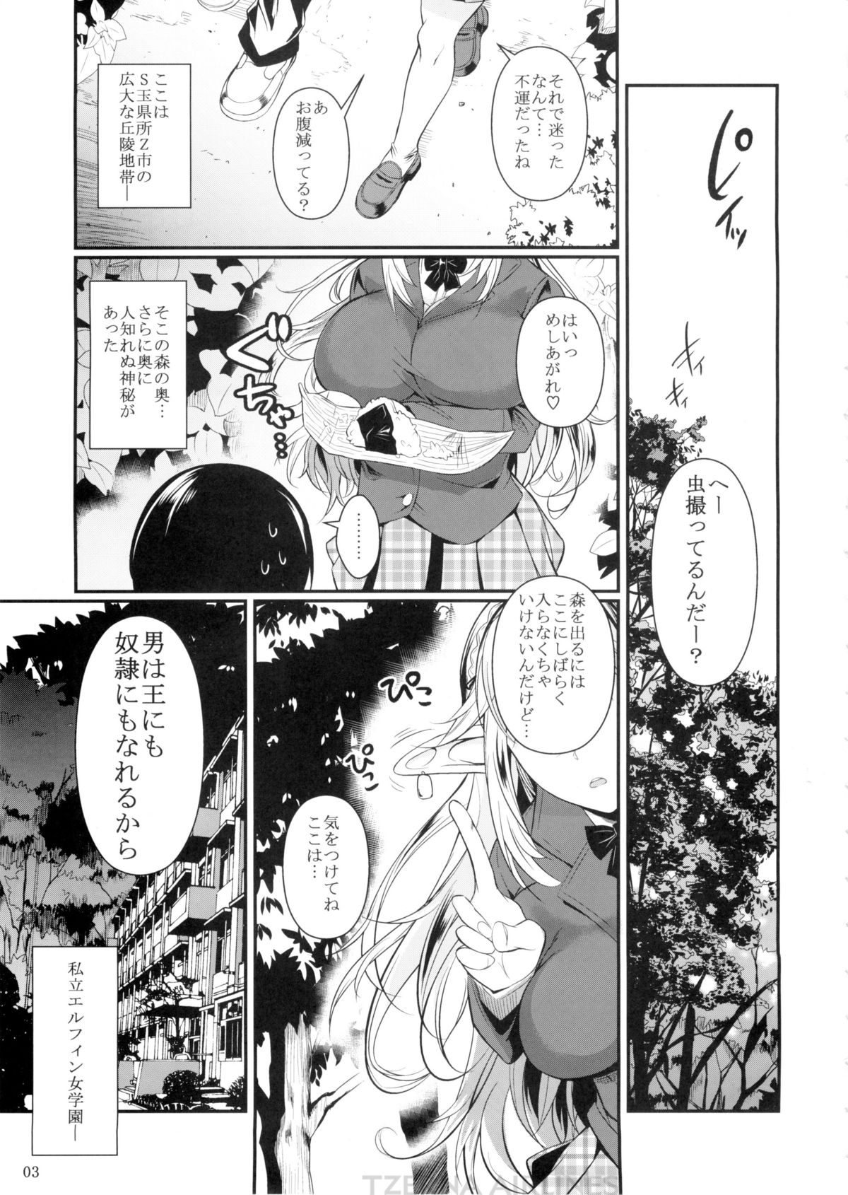 (C87) [シュート・ザ・ムーン (フエタキシ)] ハイエルフ×ハイスクール