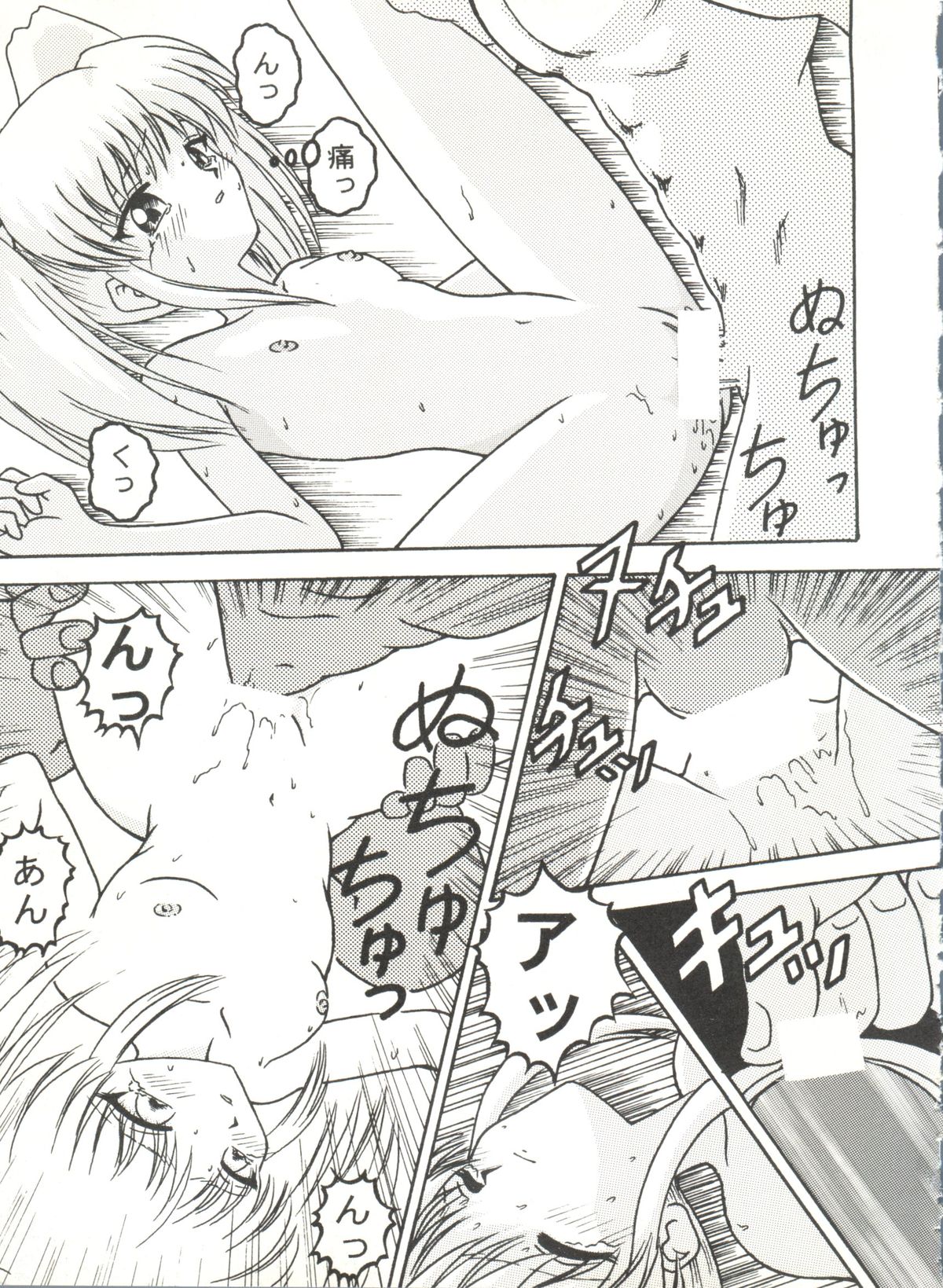 [アンソロジー] アニパロ美姫 10 (よろず)