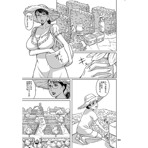 (C88) [しあわせプリン堂 (認六)] Package-Meat 11 (クイーンズブレイド) [見本]