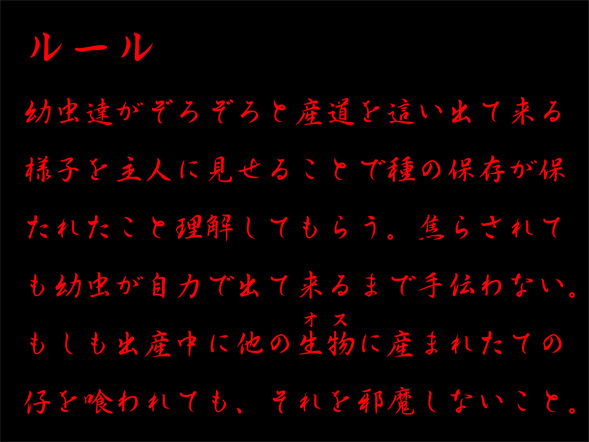 [nidhog]ルール