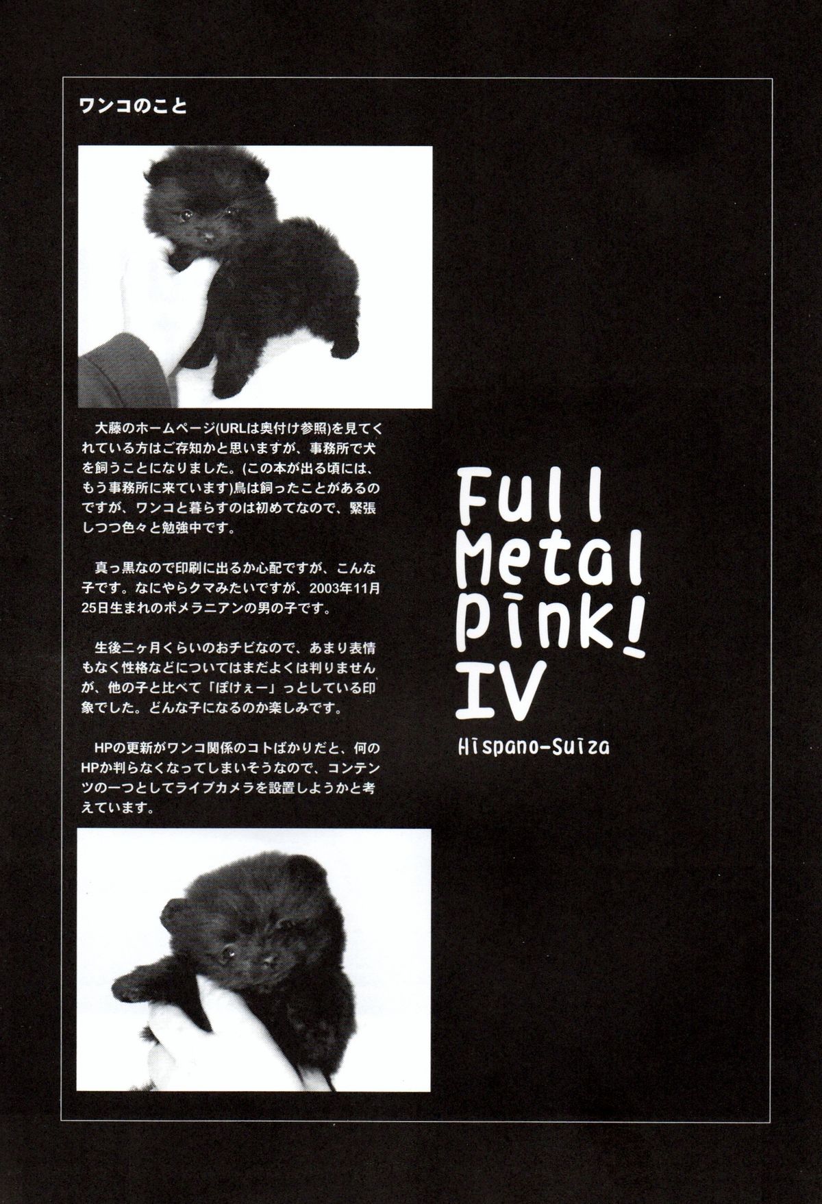 [Hispano-Suiza (大藤玲一郎)] FULL METAL PINK! IV (フルメタル・パニック！)