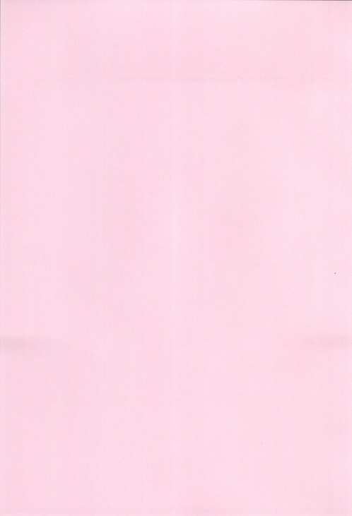 (サンクリ62) [BERRY×BERRY (ぴんくる)] さむわんわん? (WORKING!!)