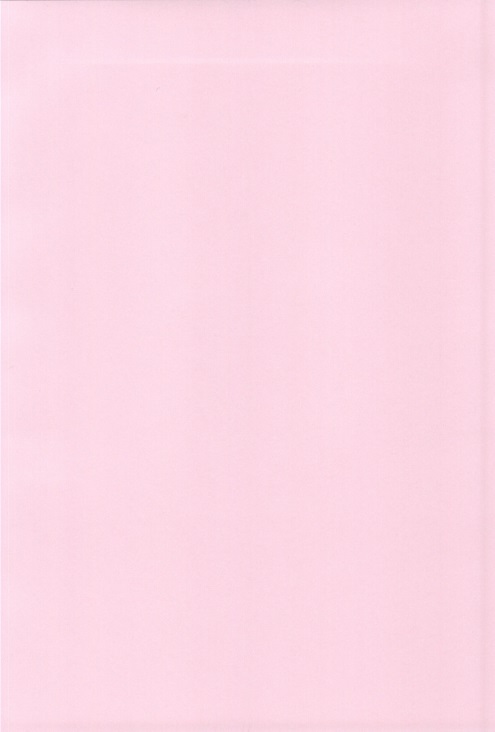 (サンクリ62) [BERRY×BERRY (ぴんくる)] さむわんわん? (WORKING!!)