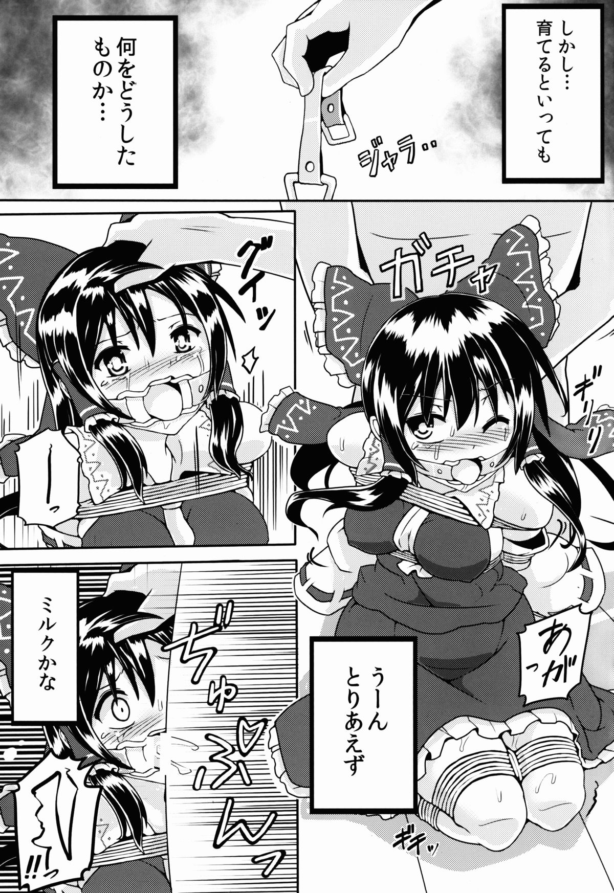 (例大祭12) [黒りりの部屋 (lilish)] 捨て巫女の育て方 (東方Project)