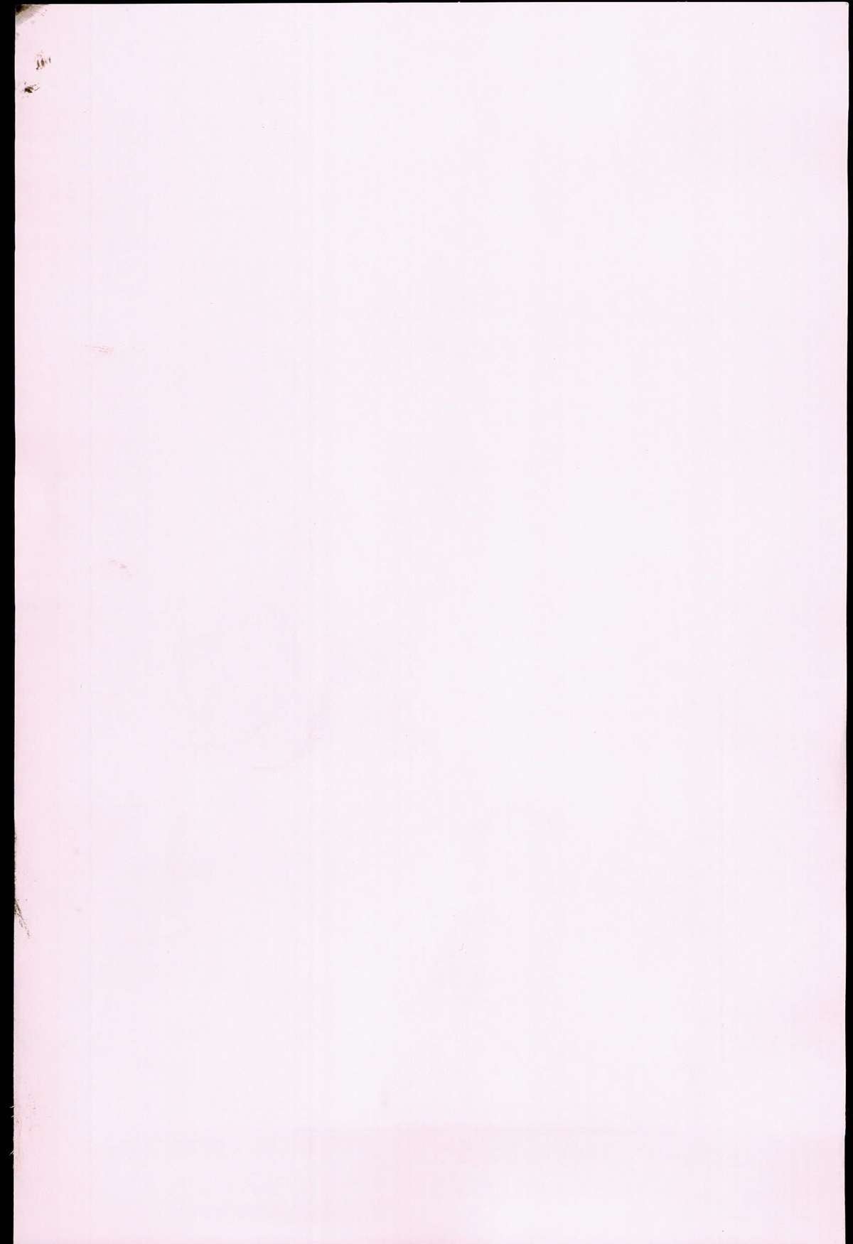 [小島紗] 性交祭+とらのあな限定8P小冊子