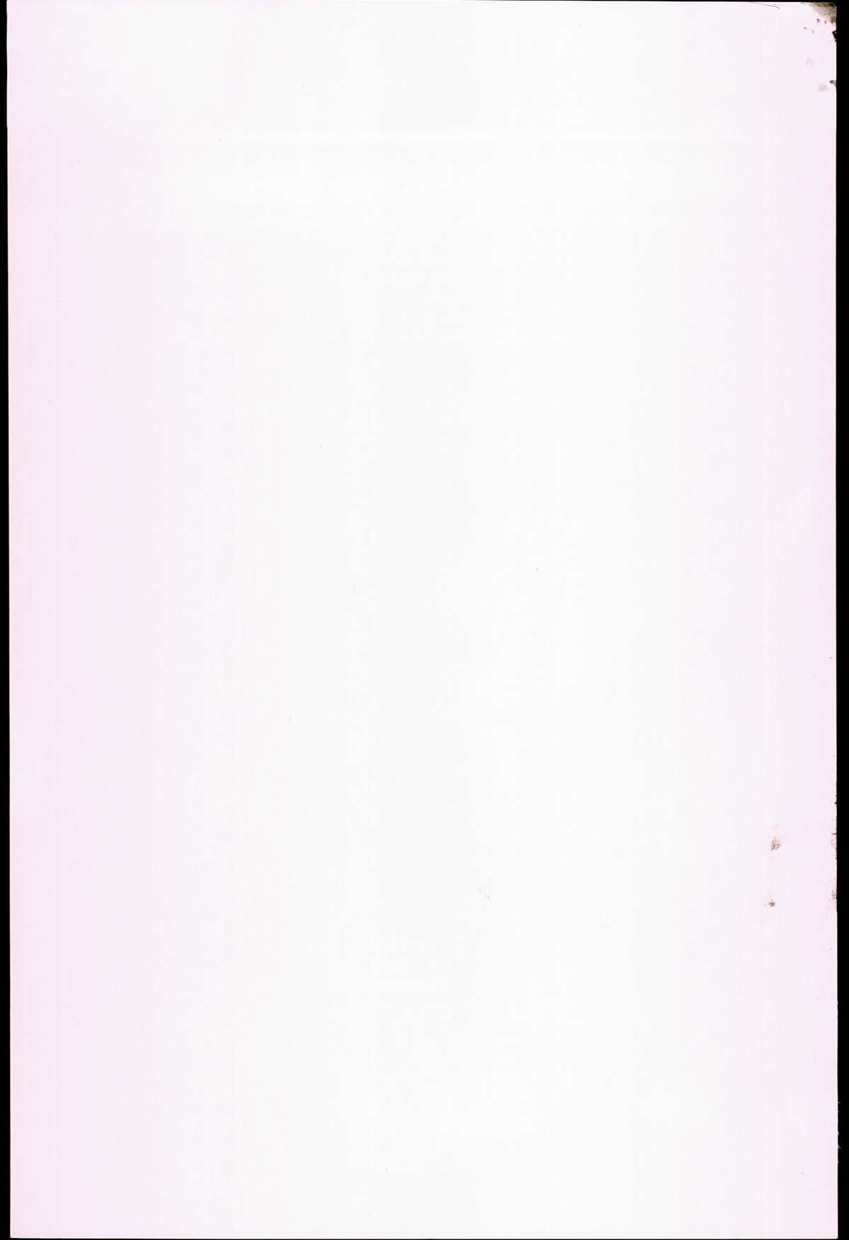 [小島紗] 性交祭+とらのあな限定8P小冊子