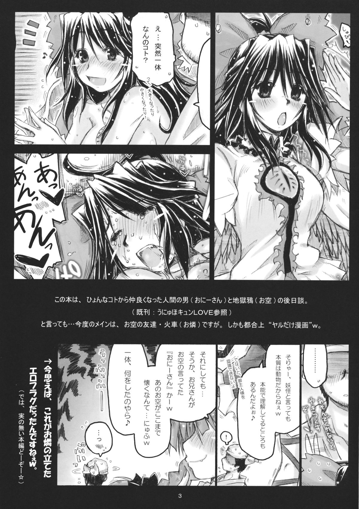 (例大祭11) [暗黒暴走組 (アイヌマニア)] 火炎猫でも猫だまし (東方Project)