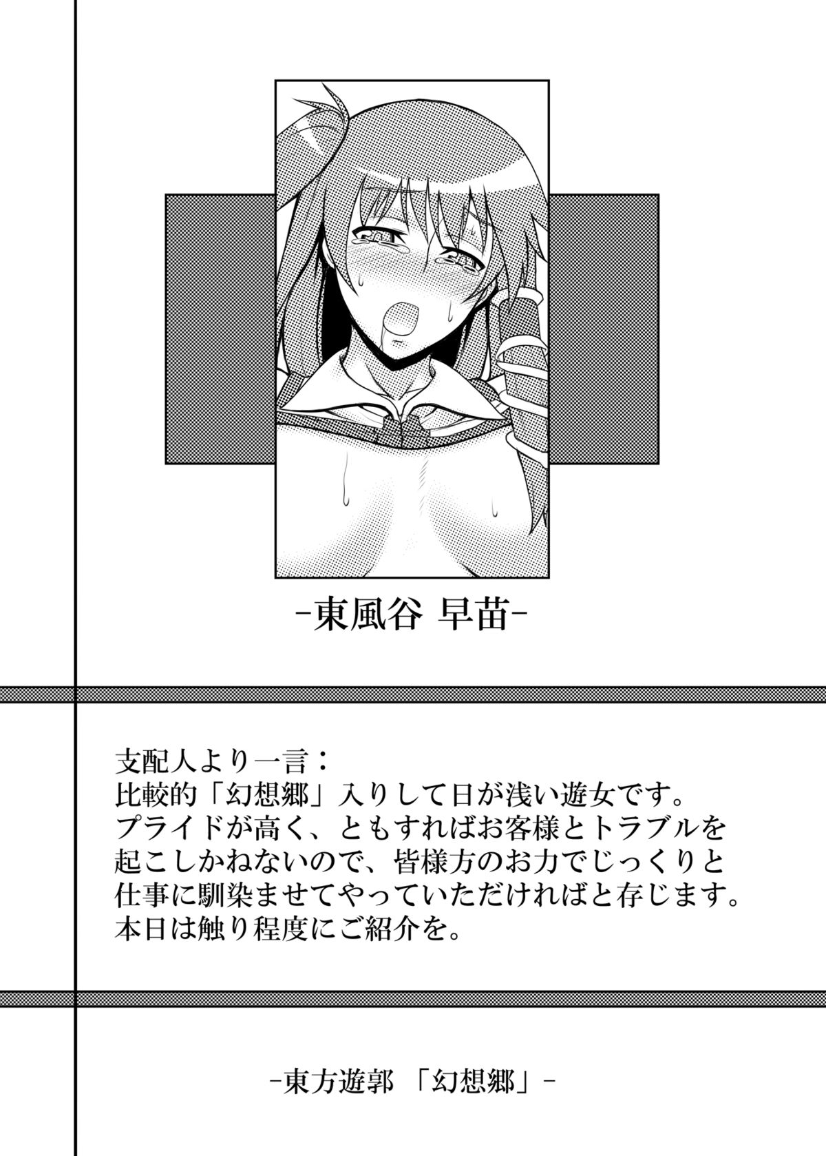 [アビオン村 (ジョニー)] 東方projectの本 総集編 (東方Project) [DL版]
