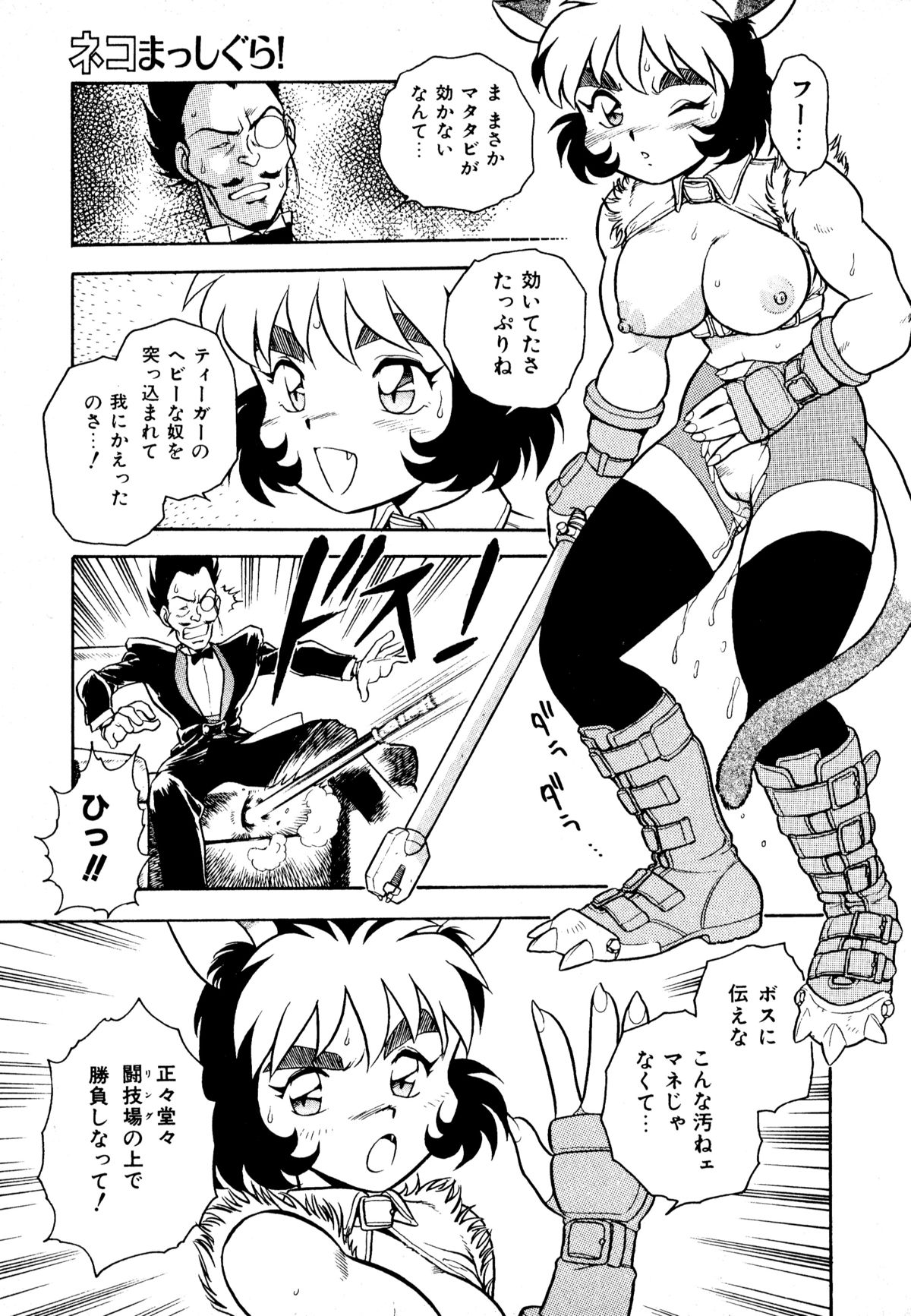 [アンソロジー] ネコまっしぐら!