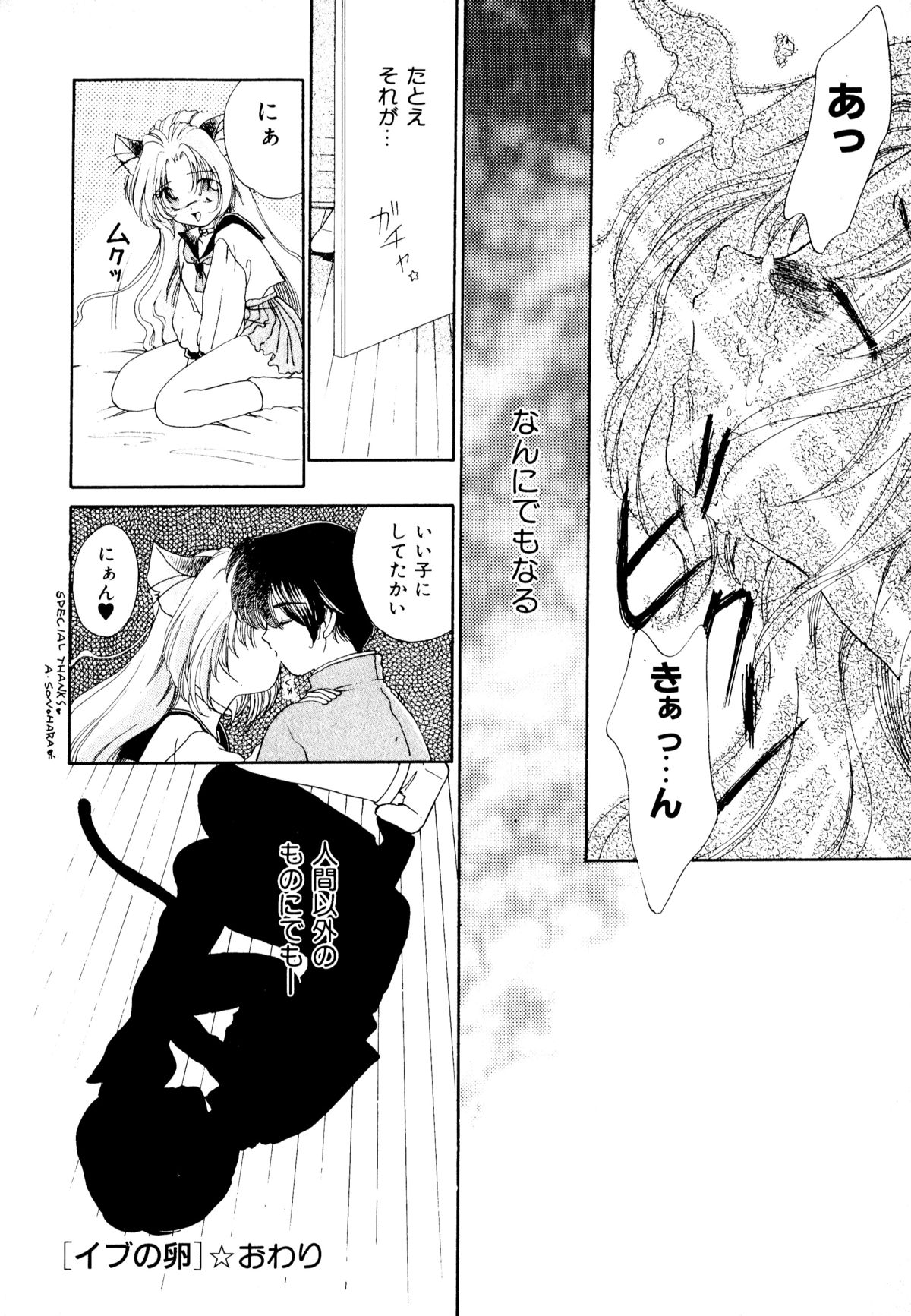[アンソロジー] ネコまっしぐら!