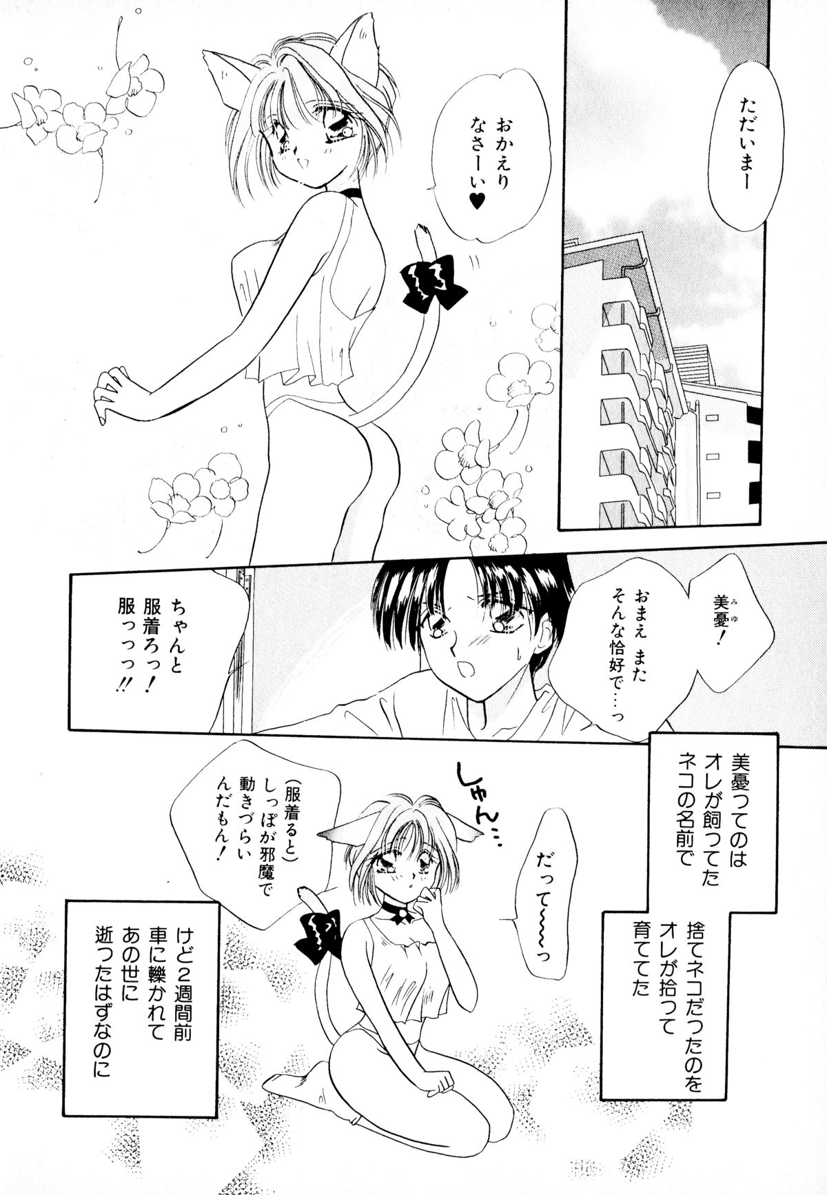 [アンソロジー] ネコまっしぐら!