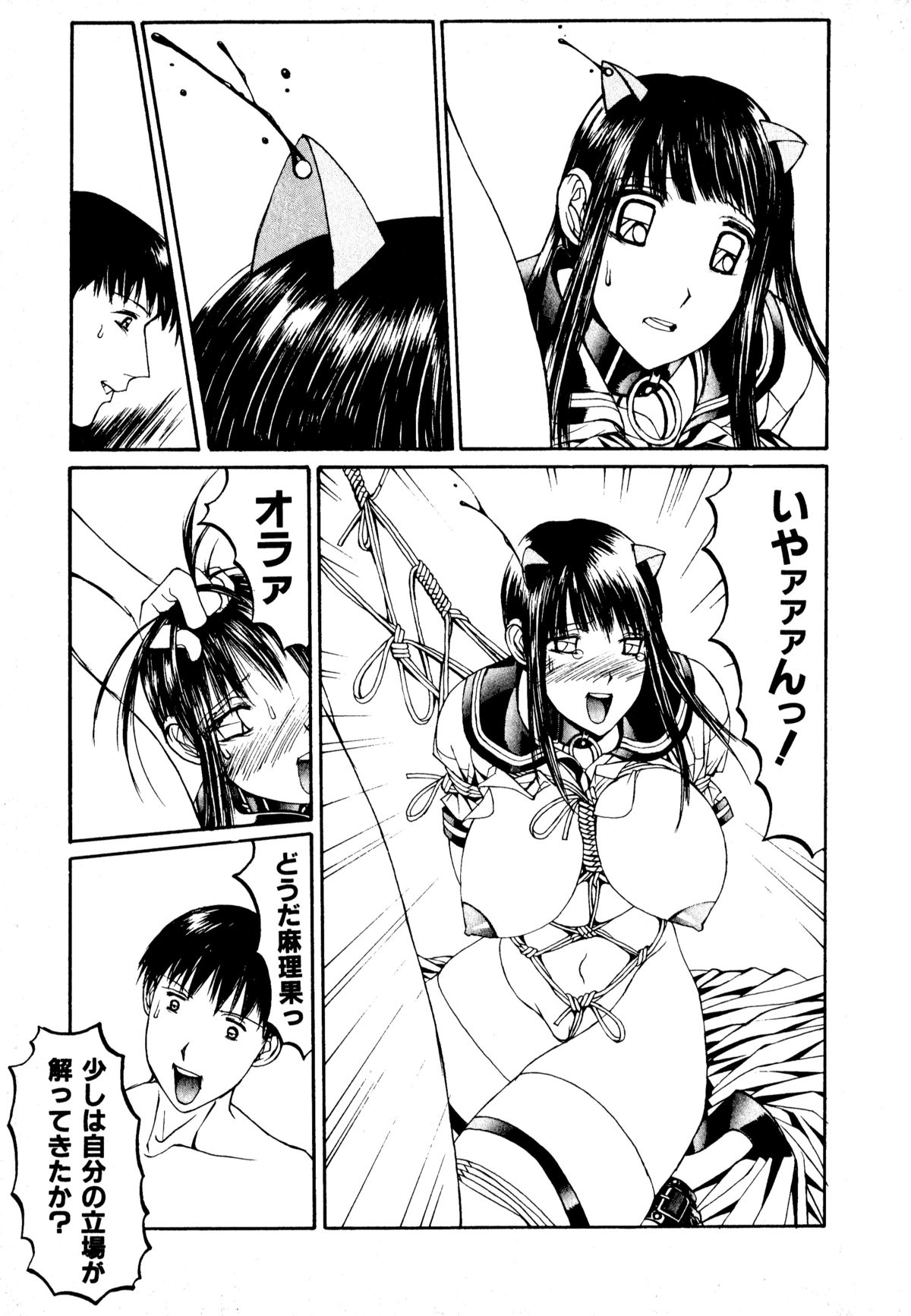 [アンソロジー] ネコまっしぐら!