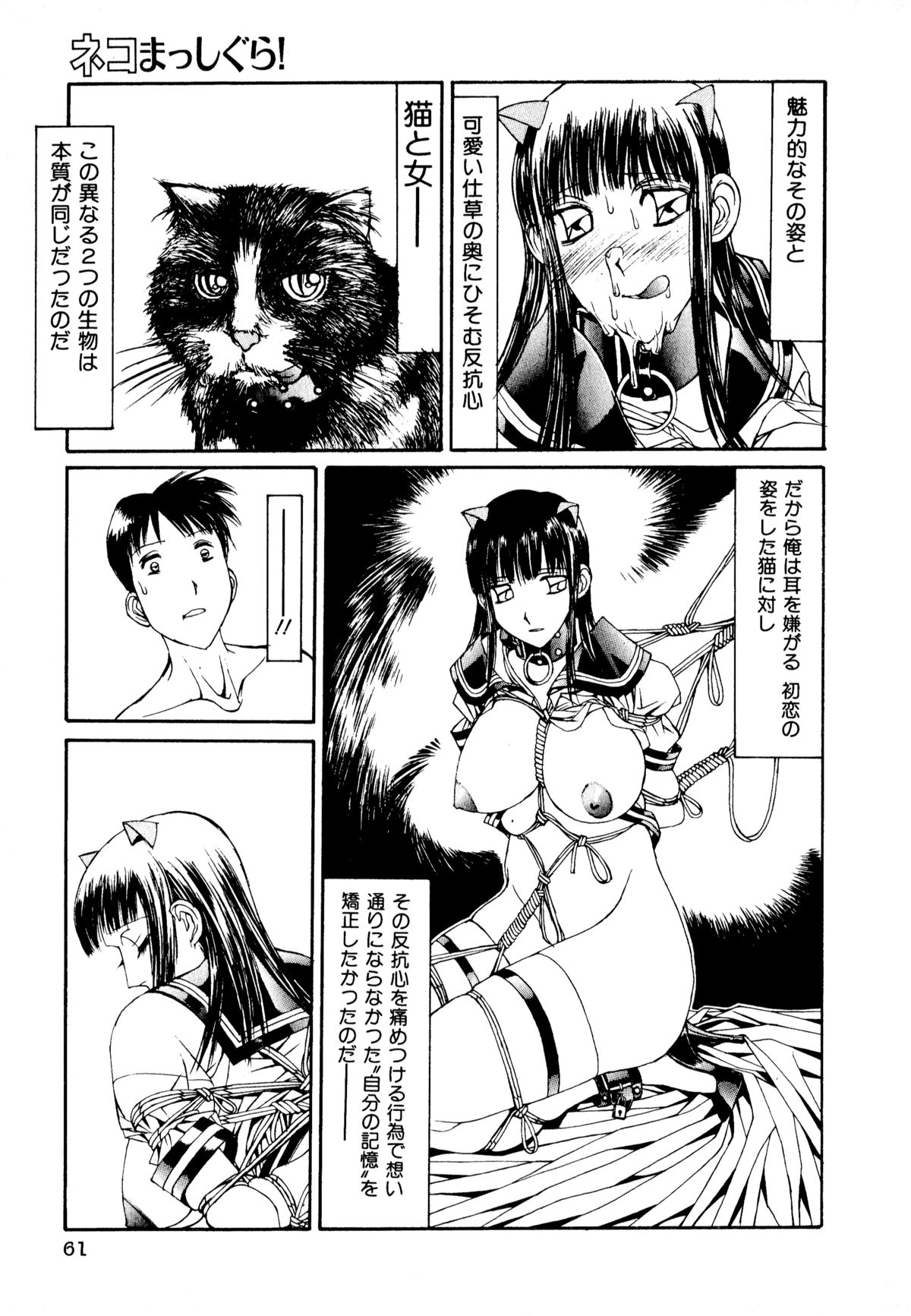 [アンソロジー] ネコまっしぐら!