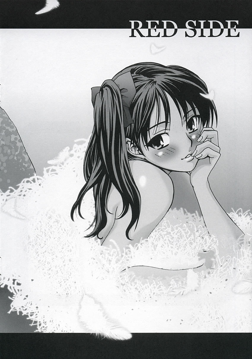 (C67) [蒲焼屋 (鰻丸)] RED SIDE (Fate/stay night) [中国翻訳]