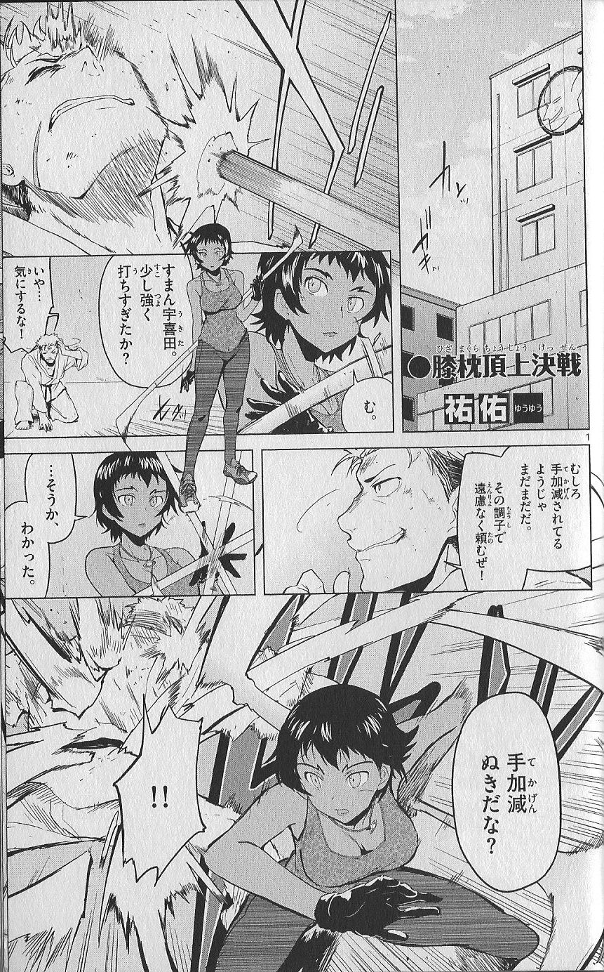 (史上最強の弟子ケンイチ51巻限定版付録)別冊ケンイチ (史上最強の弟子ケンイチ51巻限定版付録)別冊ケンイチ