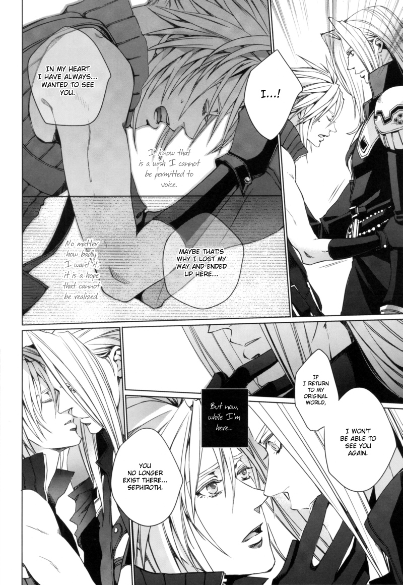 (C81) [nightflight (ユイ)] 記憶の庭 2 (ディシディア ファイナルファンタジー) [英訳]