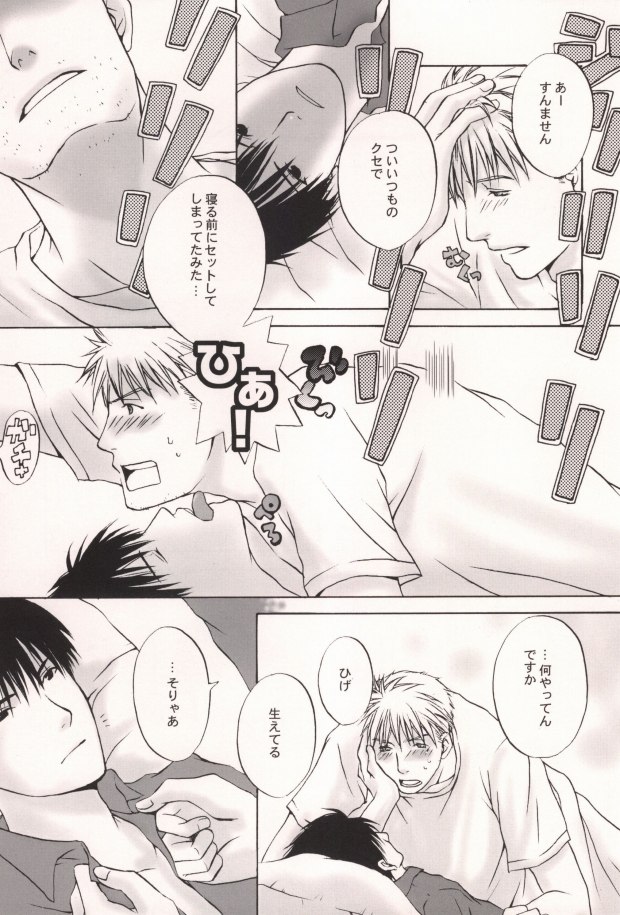 [Type_O (男児)] HONEY BLACK (鋼の錬金術師)