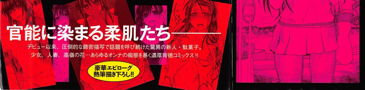 [駄菓子] 純潔の終わる日々 [天鵝之戀]