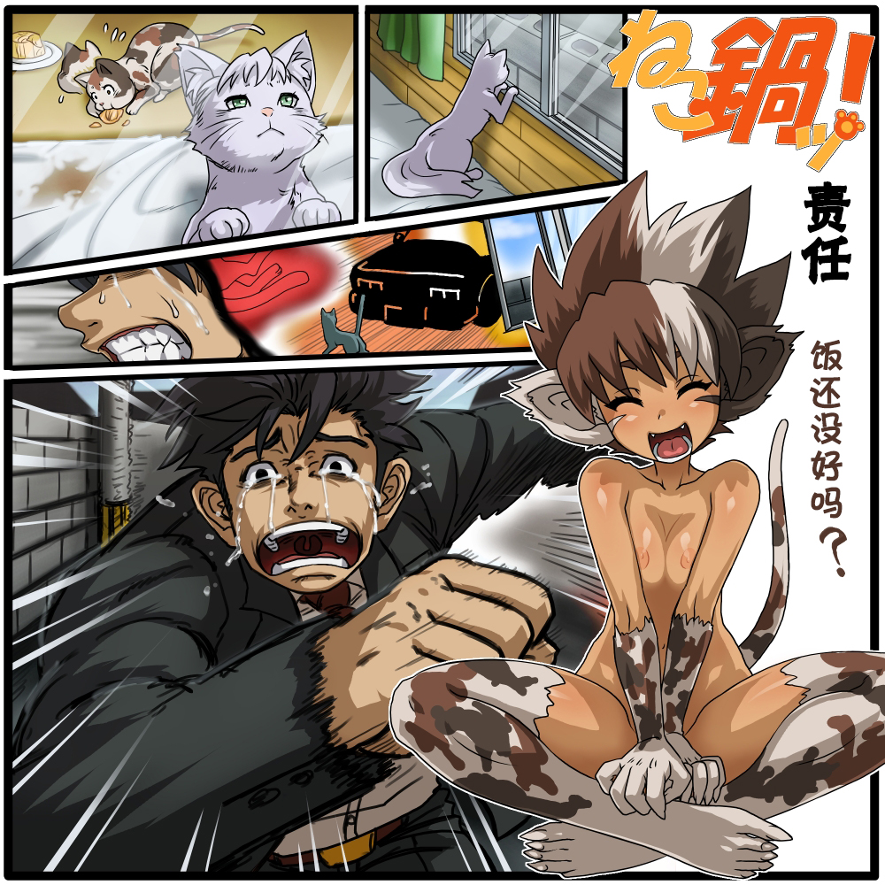 [赤月赤座堂 (不死者O)] ねこ鍋! [中国翻訳]