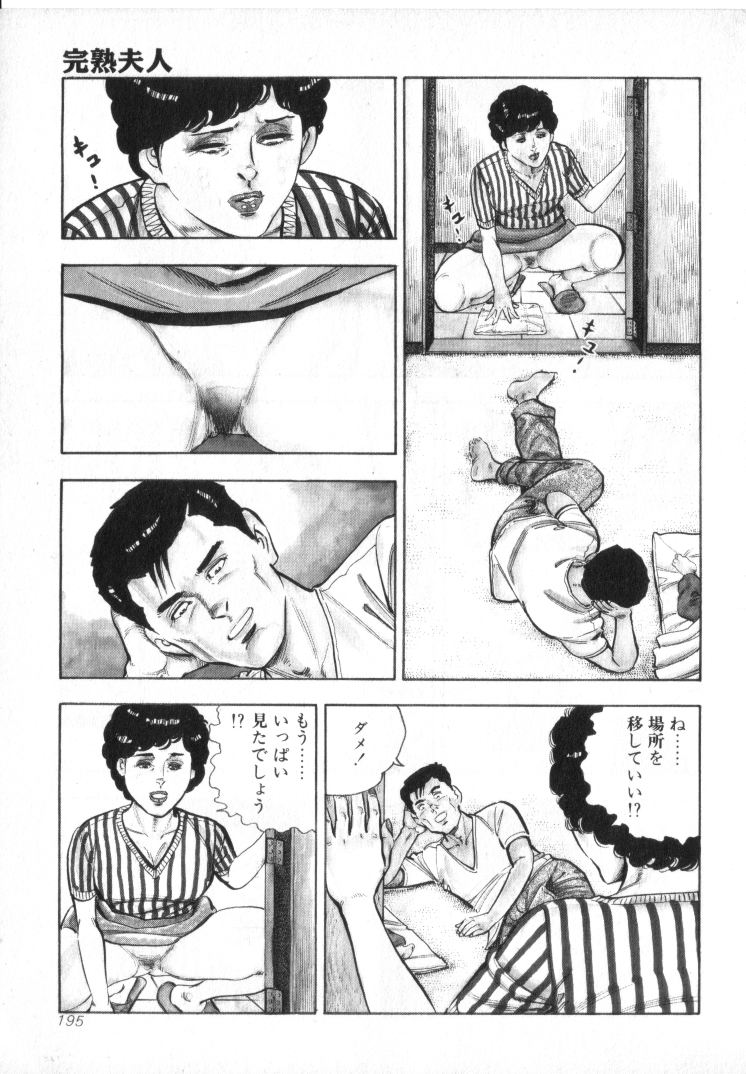 [城野晃] 完熟夫人