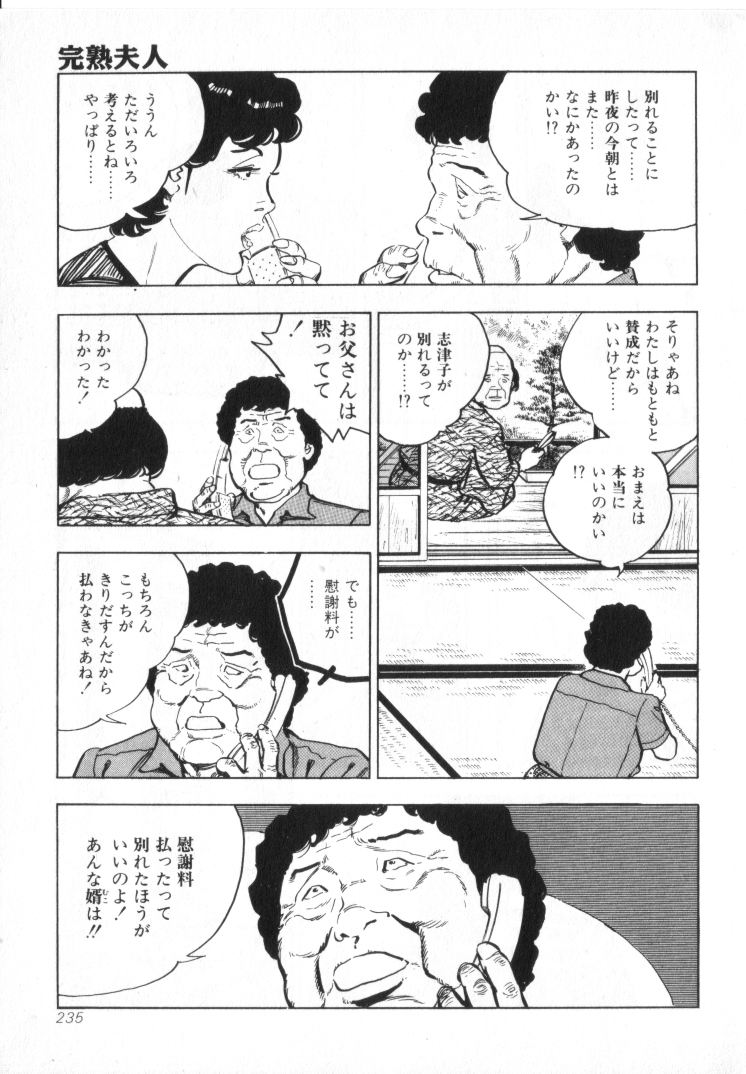 [城野晃] 完熟夫人