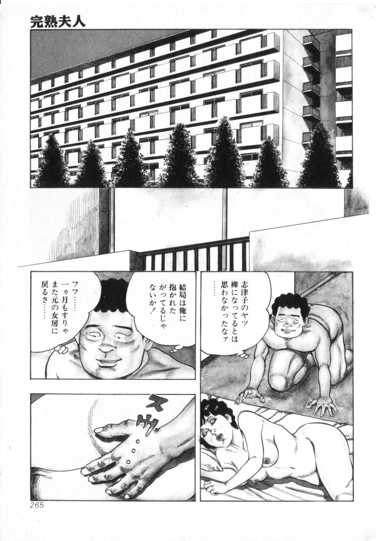 [城野晃] 完熟夫人