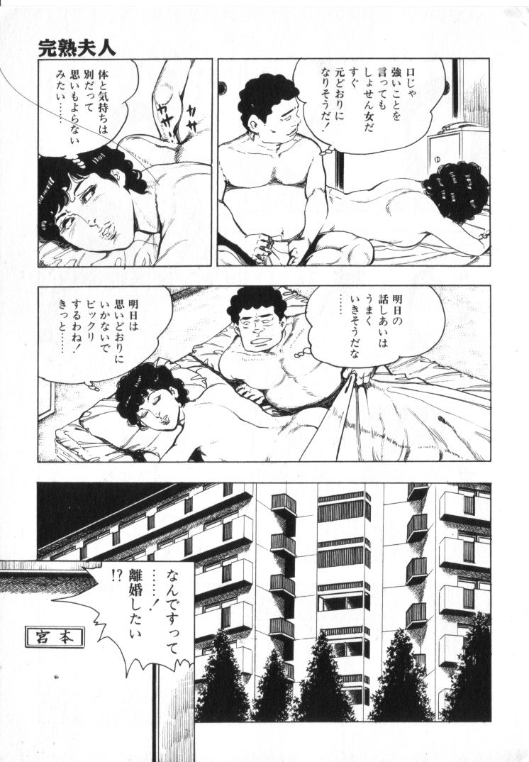 [城野晃] 完熟夫人