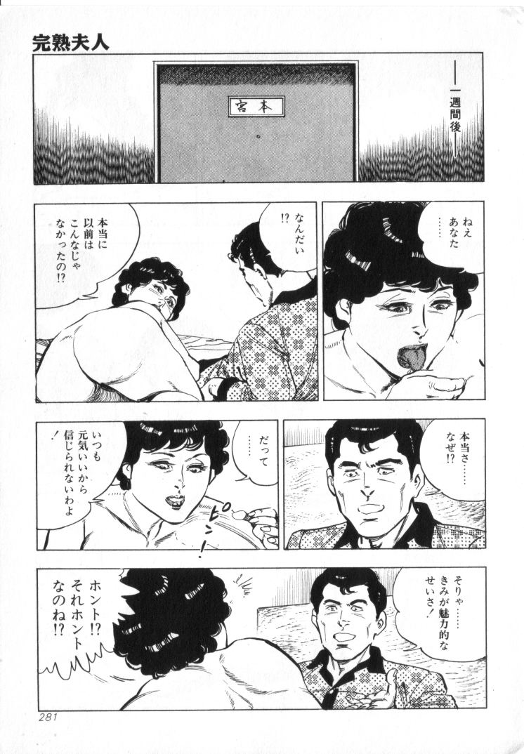 [城野晃] 完熟夫人