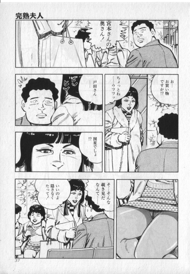 [城野晃] 完熟夫人