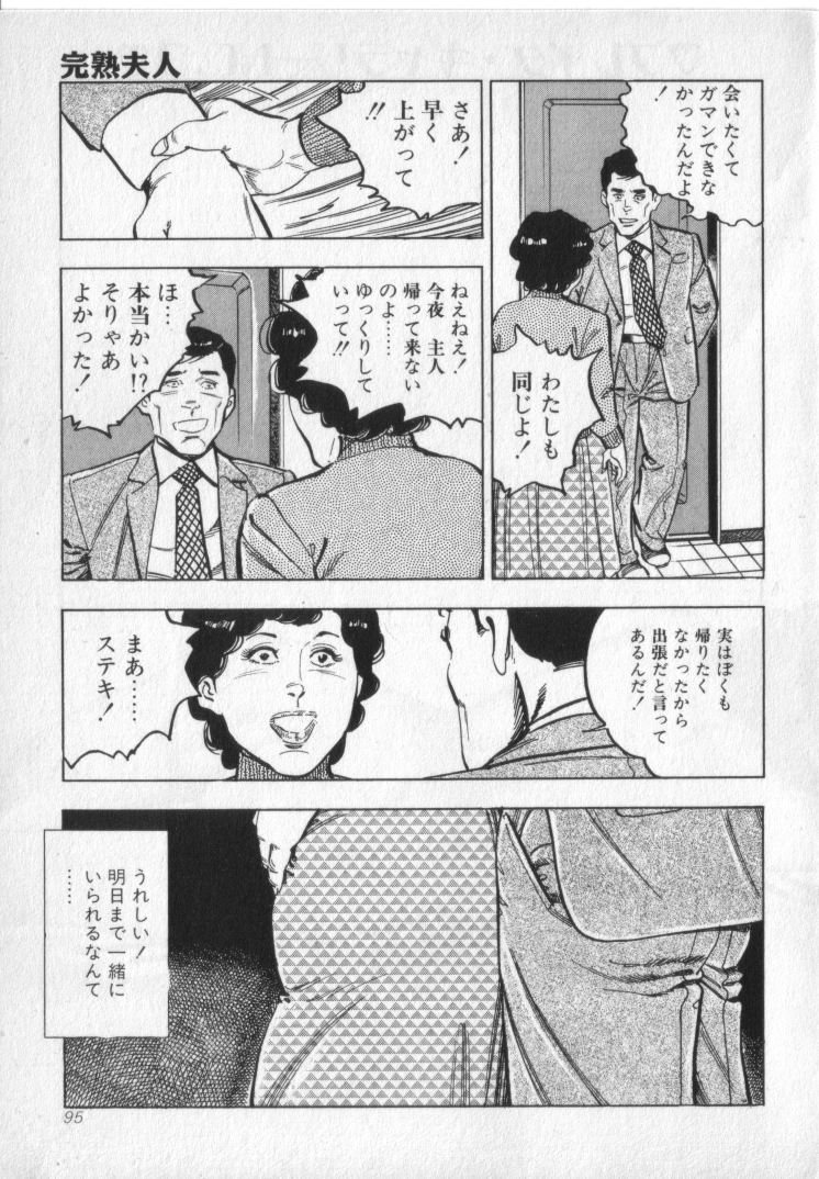 [城野晃] 完熟夫人