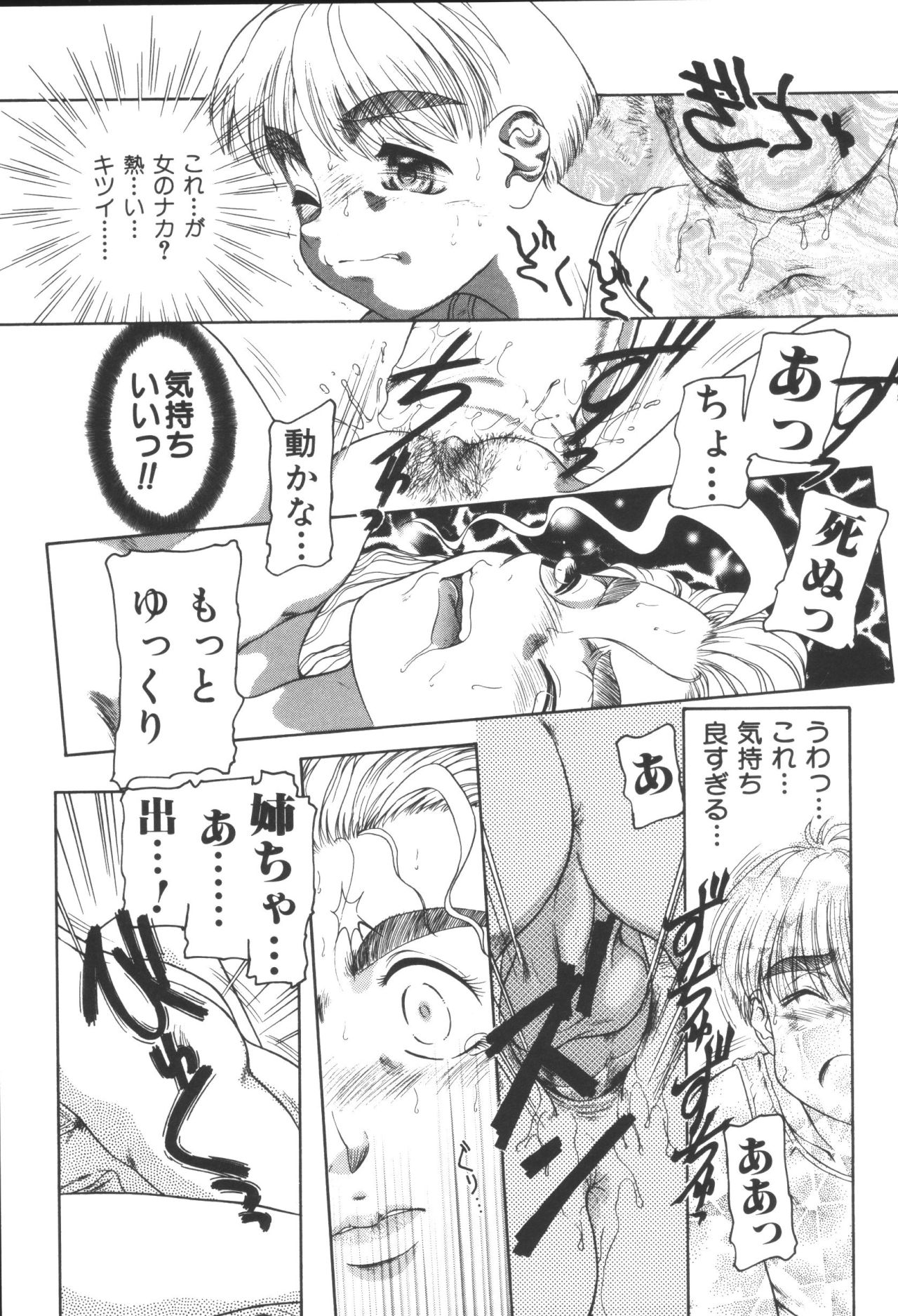 [アンソロジー] 姉弟恋歌