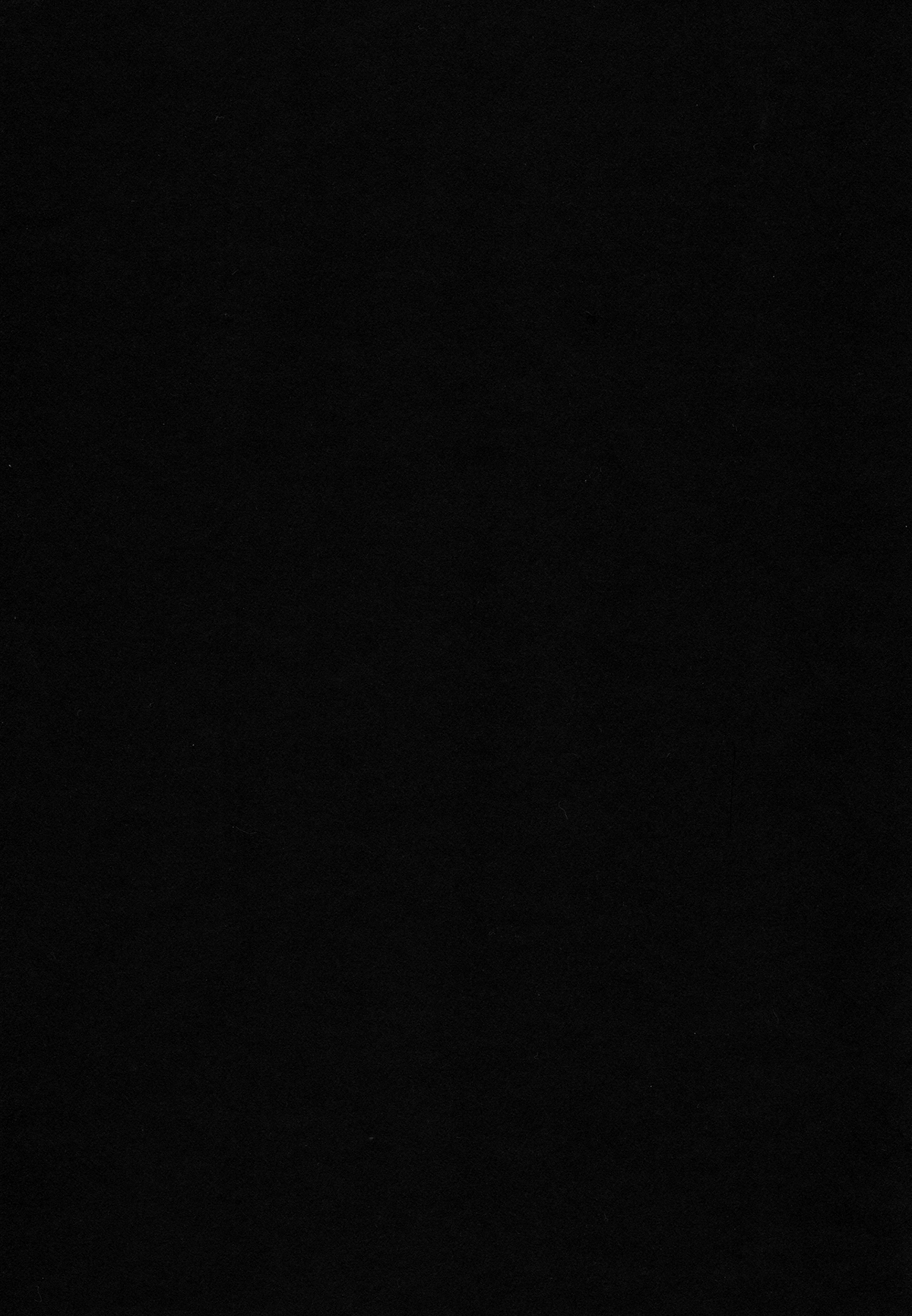 (C85) [Ash Wing (まくろ)] BF III -bijoux fantaisie- [中国翻訳]