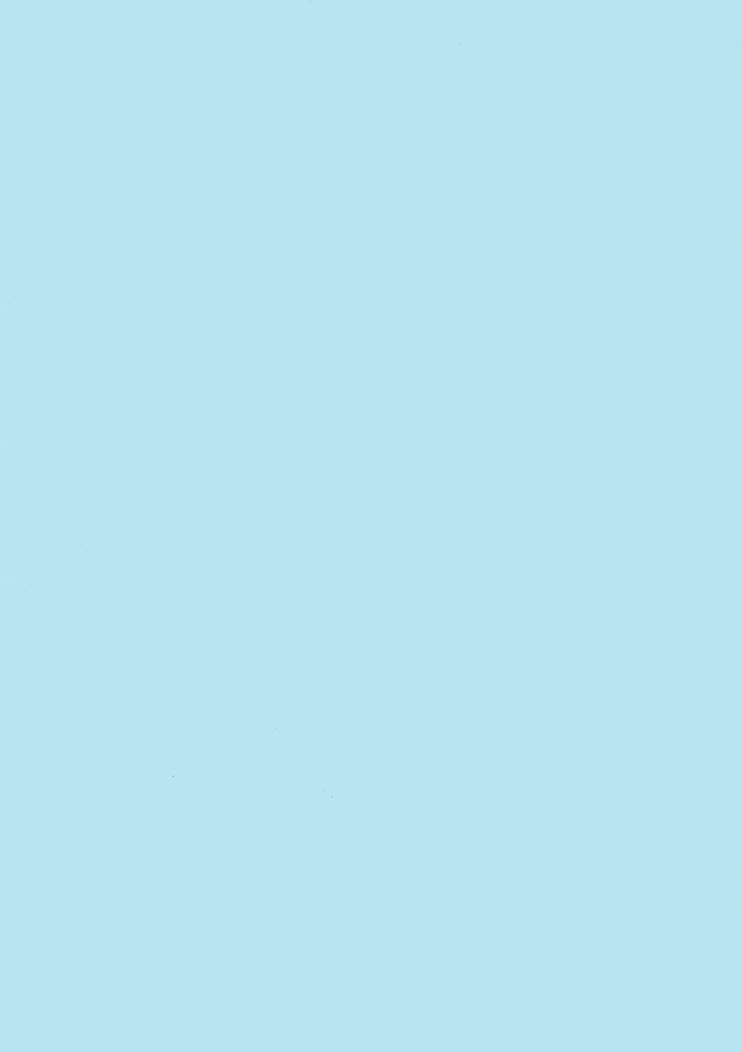 (C67) [びいどろぼっくす (みずしま甲斐)] 追儺眩夜 (東方Project)