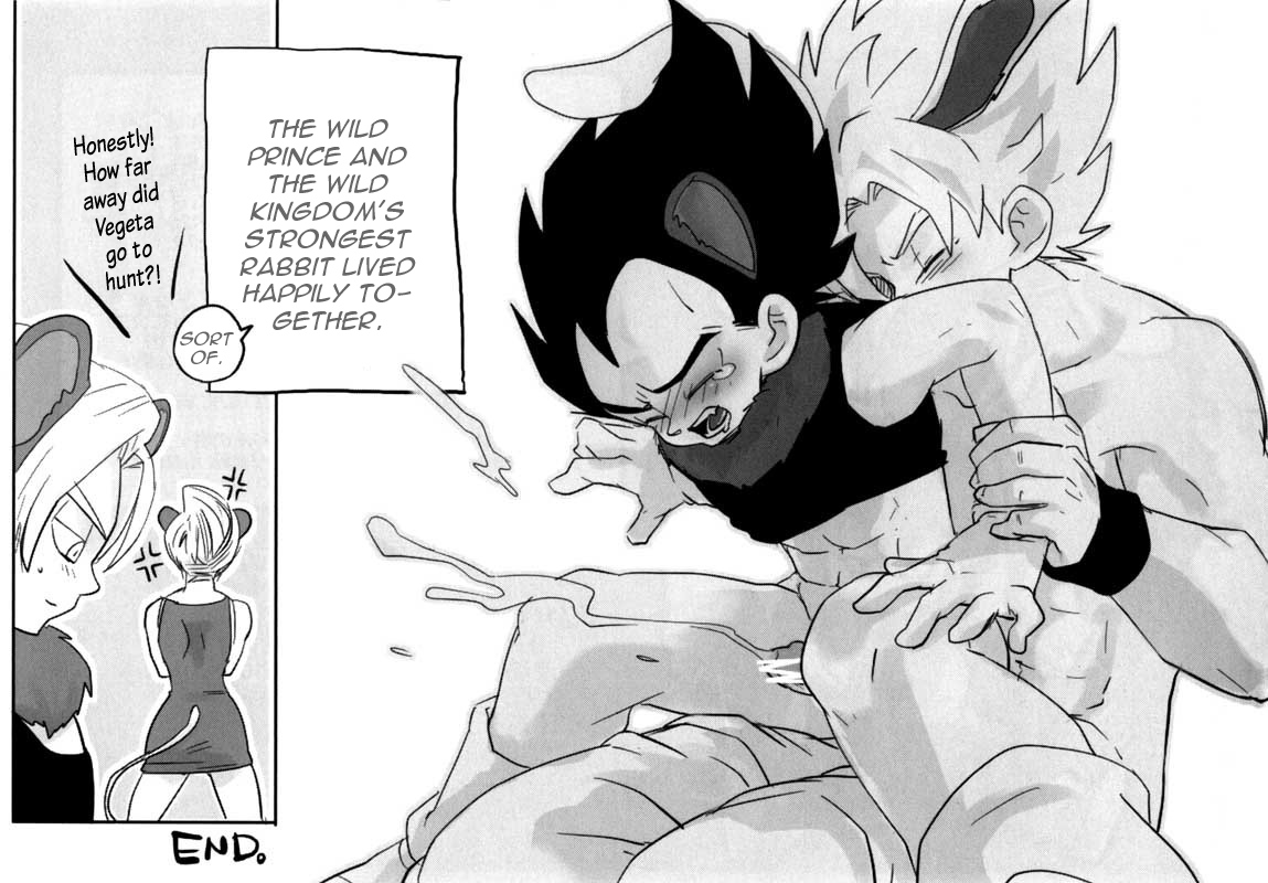 やせいの奥国（ドラゴンボールZ）[英語]