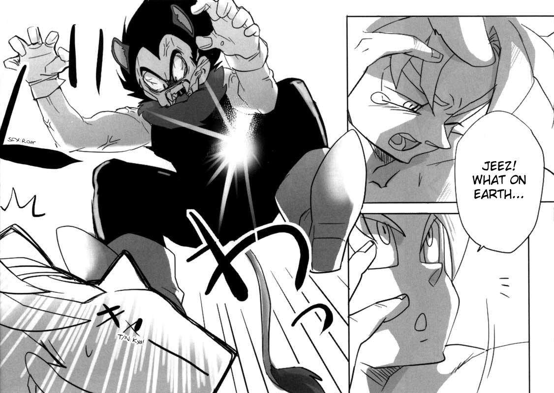 やせいの奥国（ドラゴンボールZ）[英語]