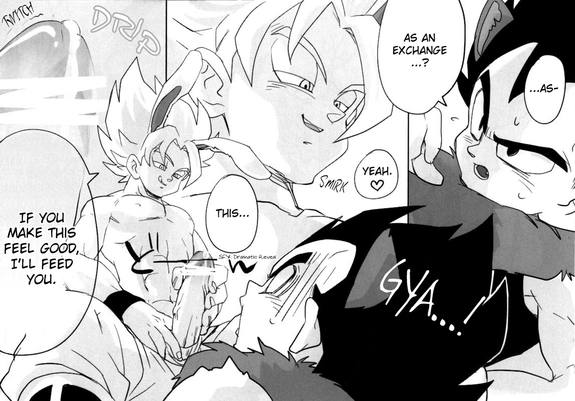 やせいの奥国（ドラゴンボールZ）[英語]