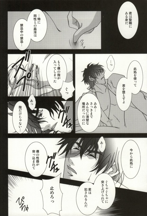 (C81) [Einsatz (snb)] The Apocalypse～黙示録～ (Fate/Zero)