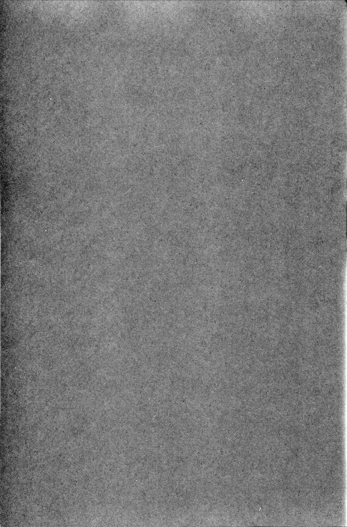 (C87) [H.B.A (うさぎなごむ)] エルフの姫は快楽に哭く