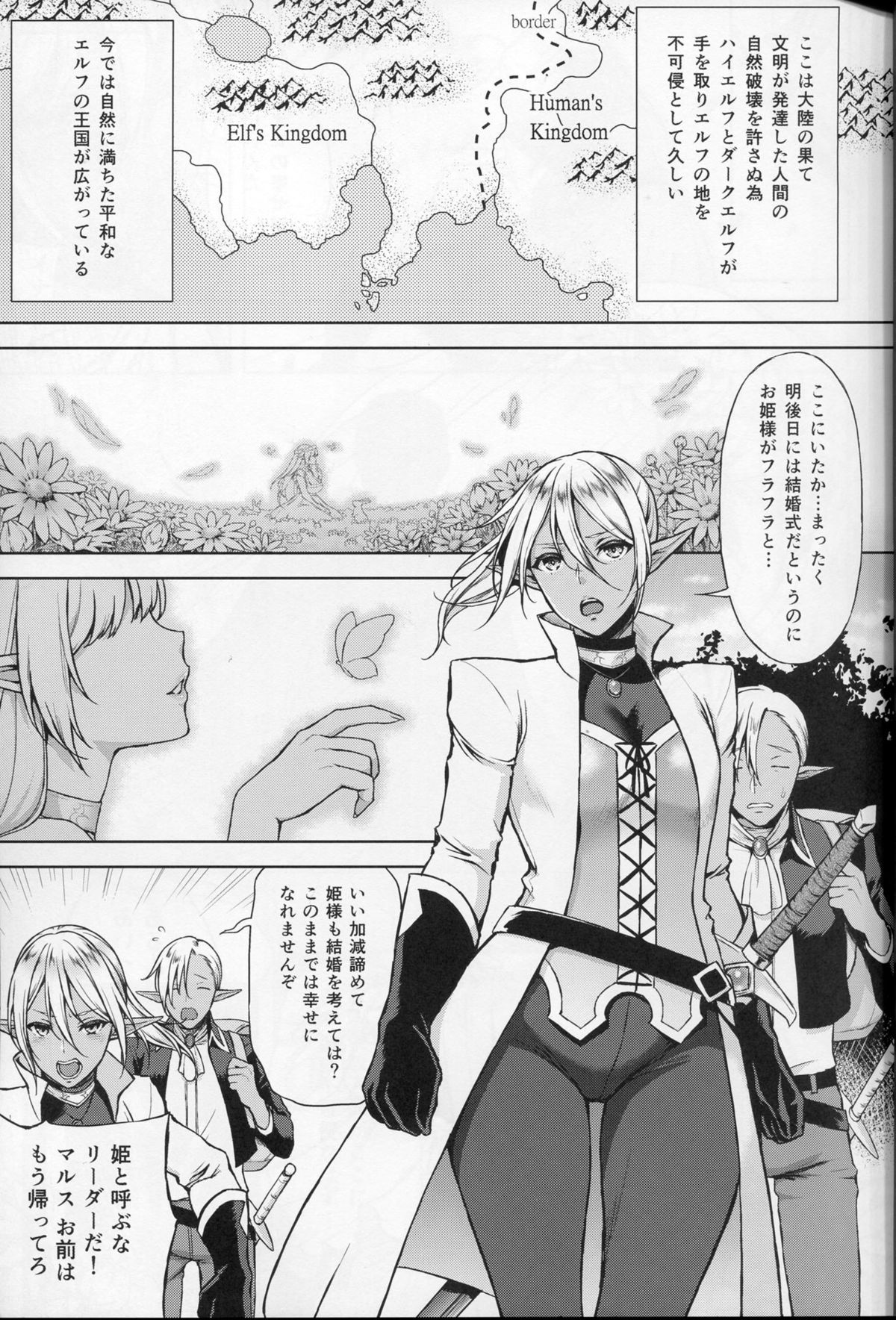 (C87) [H.B.A (うさぎなごむ)] エルフの姫は快楽に哭く