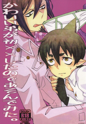 [人外パラドックス (14)] かわいい弟が初××したのであそんでみた。 (青の祓魔師) [ページ欠落]